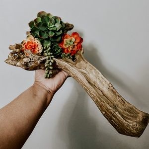 succulent wooden log centerpiece